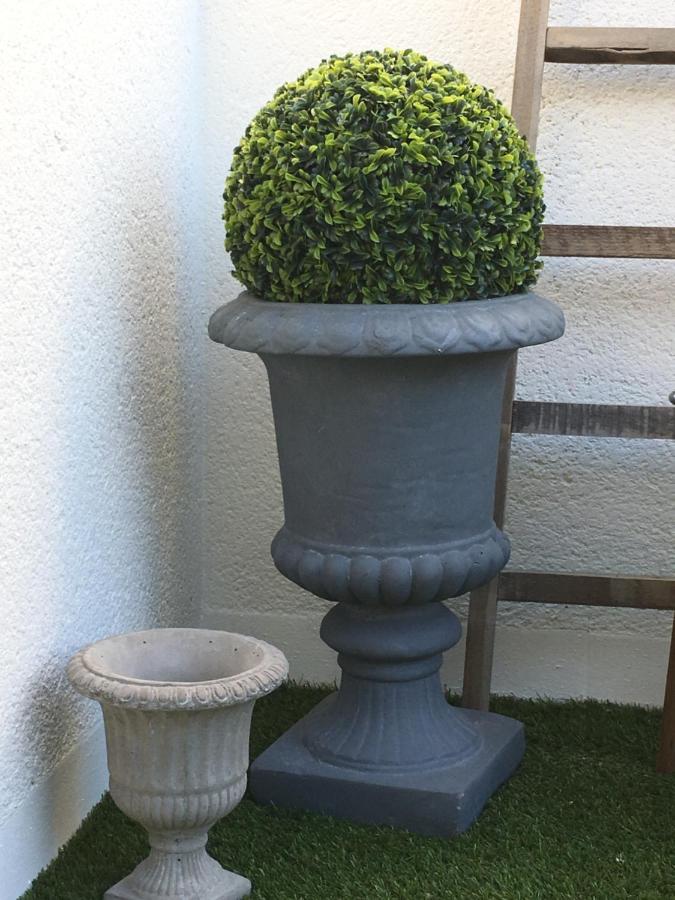 O 36 Rempart Sud B&B Aigues-Mortes Exterior foto